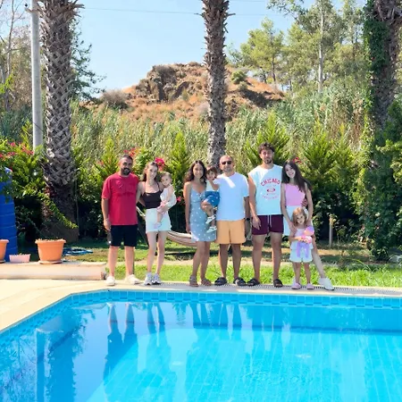 Calis Meri *