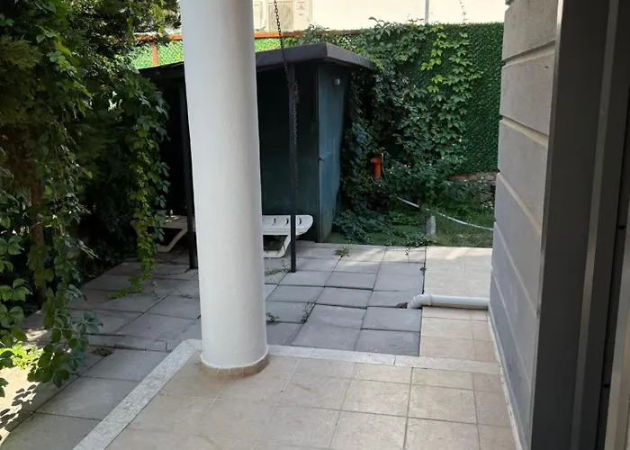 Calis Meri